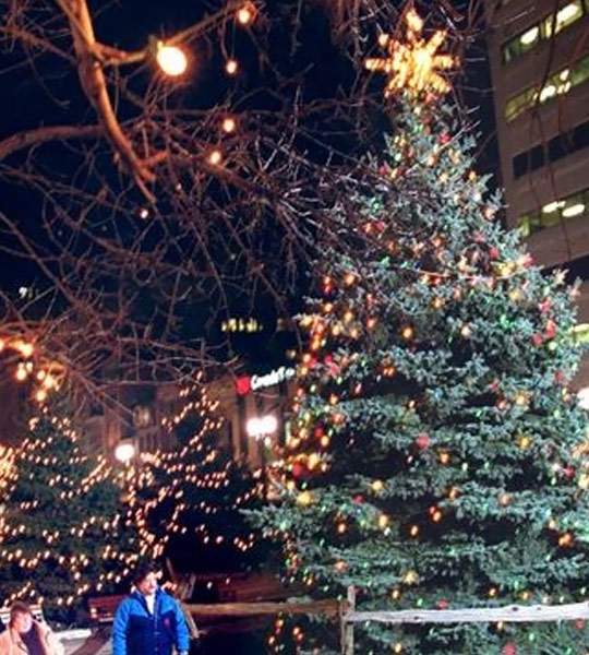 CHML Christmas<br>Tree of Hope