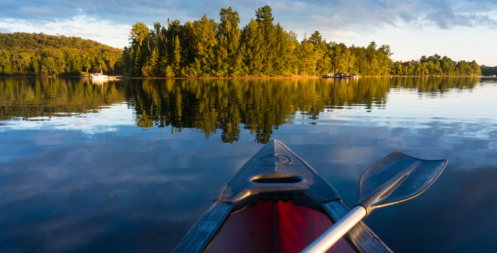 Top of canoe with a paddle in front of many trees